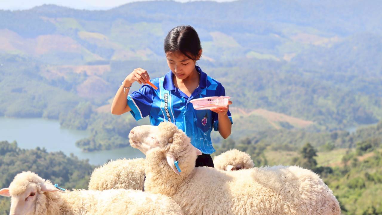 591054592_1270207124912311_9142990702236136969_n